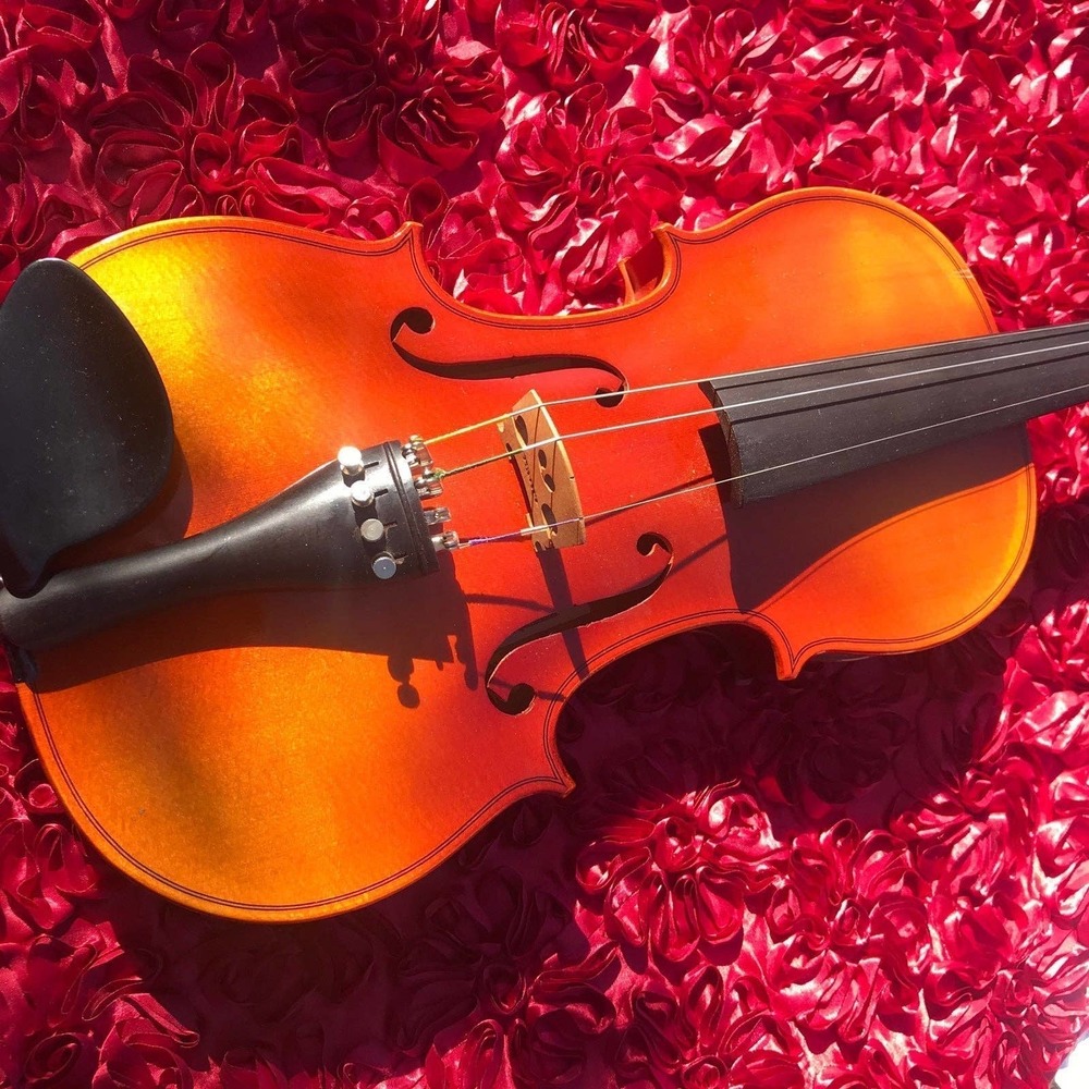 VIOLIN SUZUKI #220/#202 GLASSER HORSEHAIR BOW & CASE used only one semester
